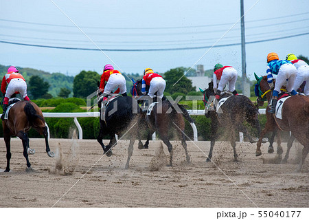 佐賀競馬 佐賀競馬 55040177