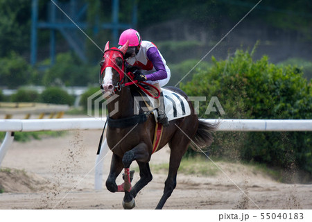 佐賀競馬 佐賀競馬 55040183