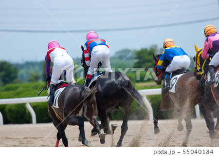 佐賀競馬 佐賀競馬 55040184