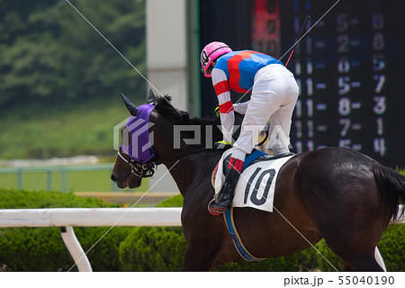 佐賀競馬 佐賀競馬 55040190