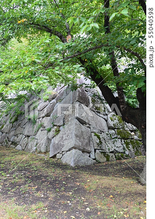 盛岡城の石垣（盛岡城跡公園(岩手公園)／岩手県盛岡市内丸1-37） 55040598