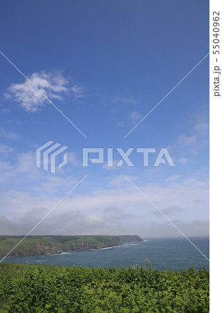 あやめヶ原と青空_海_縦 55040962