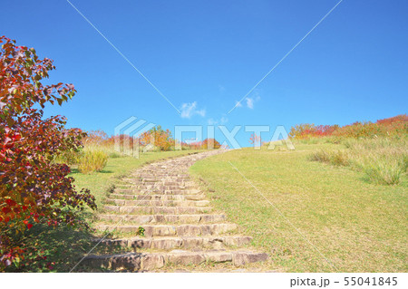 紅葉奈良 紅葉奈良 55041845