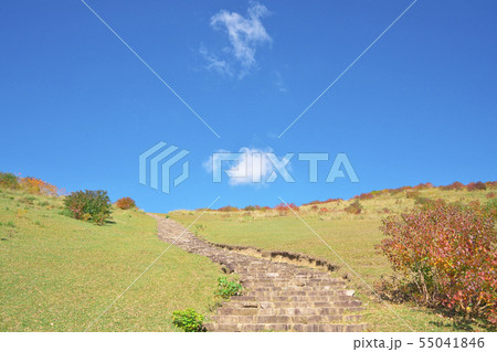 紅葉奈良 紅葉奈良 55041846