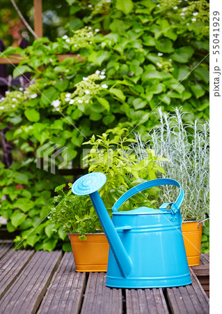 Outdoor gardening tools 55041929