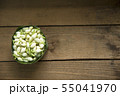 jasmine on the wood 55041970