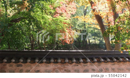 禅雲寺 フェンス 塀 55042142