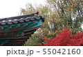 成均館 秋 紅葉 55042160