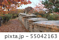 城 酪酸 秋 55042163