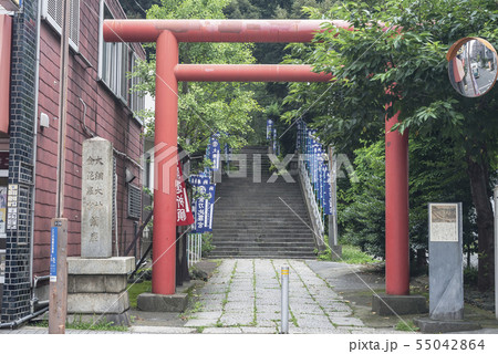 大綱金刀比羅神社(横浜市神奈川区台町) 大綱金刀比羅神社(横浜市神奈川区台町) 55042864