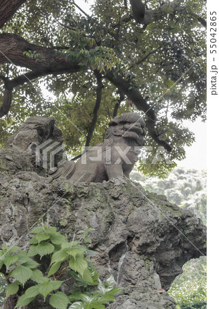 大綱金刀比羅神社（横浜市神奈川区台町） 55042865