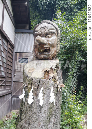 大綱金刀比羅神社の弁天池と弁天社（横浜市神奈川区台町） 55042929