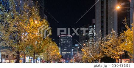 大阪 冬 御堂筋 イルミネーション 光 ルネサンス 大阪 冬 御堂筋 イルミネーション 光 ルネサンス 55045135