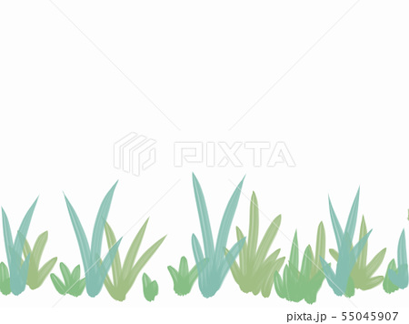 草むらの景色のイラスト素材