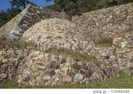 [鳥取県]鳥取城跡 天球丸 55046086