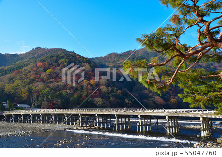 秋　京都　嵐山 55047760