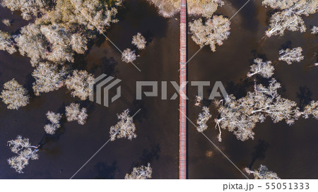 Environment of botanical garden. Environment of botanical garden. 55051333