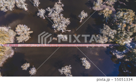 Environment of botanical garden. 55051334