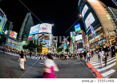 東京　渋谷駅　夜のスクランブル交差点 55051468