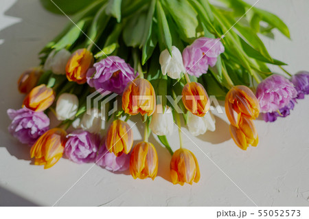 Bouquete of colorful spring tulips in a sunny day Bouquete of colorful spring tulips in a sunny day 55052573