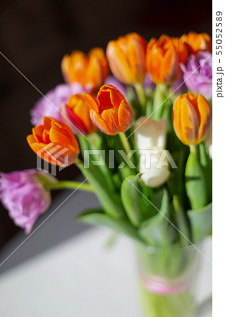 Bouquete of colorful spring tulips in a sunny day Bouquete of colorful spring tulips in a sunny day 55052589