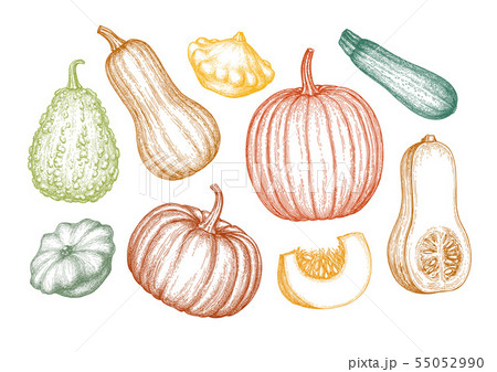 Pumpkins big set 55052990