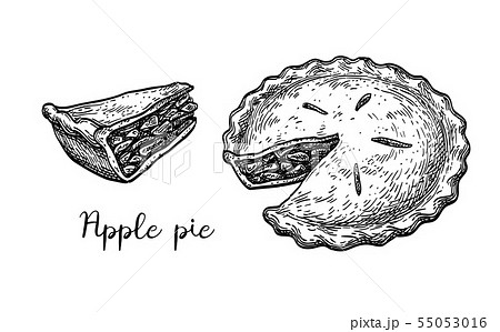Ink Sketch Of Apple Pieのイラスト素材