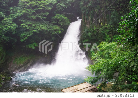 伊豆河津町の大滝 伊豆河津町の大滝 55053313