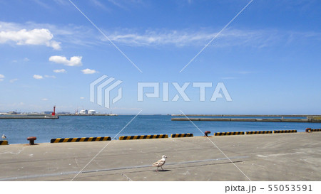 八戸散歩 八戸市第一魚市場 八戸散歩 八戸市第一魚市場 55053591