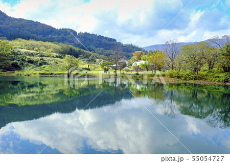 初秋の高浪の池 初秋の高浪の池 55054727