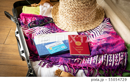 スーツケース 海外旅行保険付クレジットカード 夏 旅行 出張 パスポート スーツケース 海外旅行保険付クレジットカード 夏 旅行 出張 パスポート 55054729