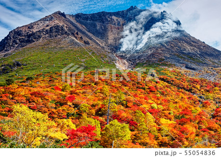 那須連峰・姥ヶ平の紅葉と噴煙上げる茶臼岳 那須連峰・姥ヶ平の紅葉と噴煙上げる茶臼岳 55054836