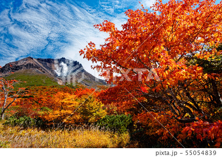 那須連峰 姥ヶ平の紅葉と噴煙上がる茶臼岳の写真素材