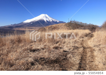 大平山登山コースの景色大平山山頂と富士山 大平山登山コースの景色大平山山頂と富士山 55054954