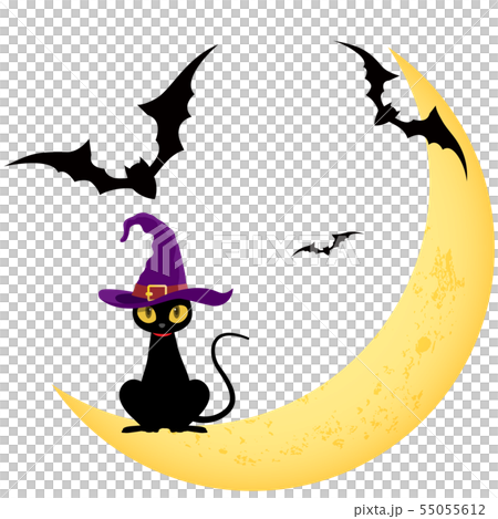 Black cat (Halloween material) 55055612