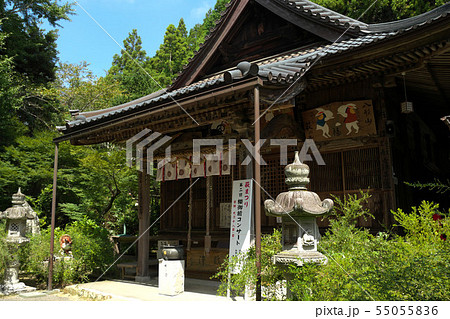 遠州　蓮華寺 55055836