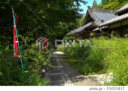 遠州　蓮華寺 55055837