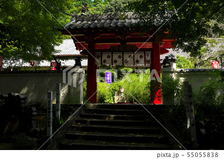 遠州　蓮華寺 55055838