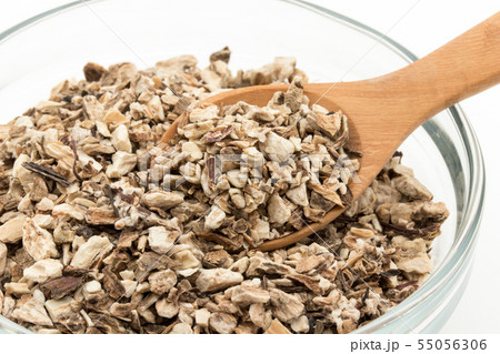 お茶用乾燥ゴボウ: Burdock root お茶用乾燥ゴボウ: Burdock root 55056306