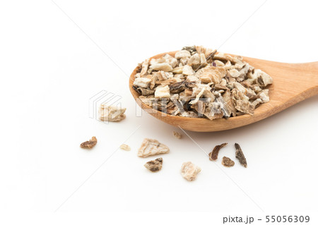 お茶用乾燥ゴボウ: Burdock root 55056309