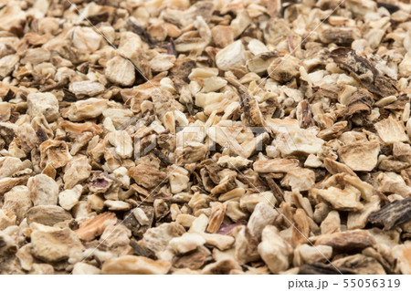 お茶用乾燥ゴボウ: Burdock root お茶用乾燥ゴボウ: Burdock root 55056319