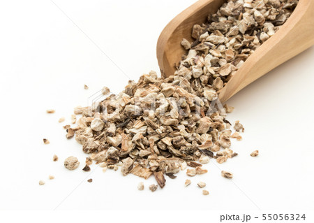 お茶用乾燥ゴボウ: Burdock root 55056324