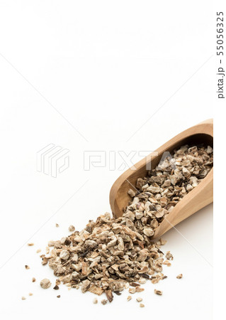 お茶用乾燥ゴボウ: Burdock root お茶用乾燥ゴボウ: Burdock root 55056325