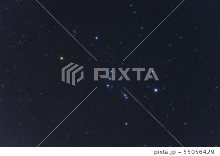 オリオン座 55056429