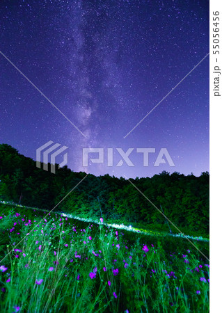 治部坂高原星景 55056456