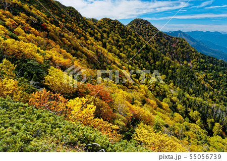 紅葉の奥日光・女峰山稜線 55056739