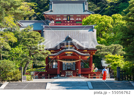 鶴岡八幡宮 鶴岡八幡宮 55056762