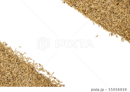 Dry caraway fruit isolated on white 55056939