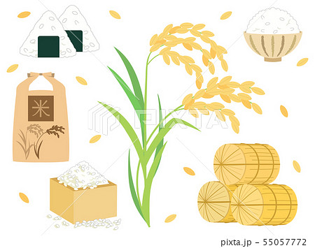 米7 お米 稲 ごはん 稲穂のイラスト素材