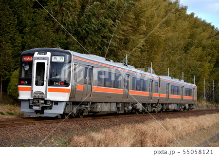 参宮線を走るキハ75系快速みえ2両 55058121